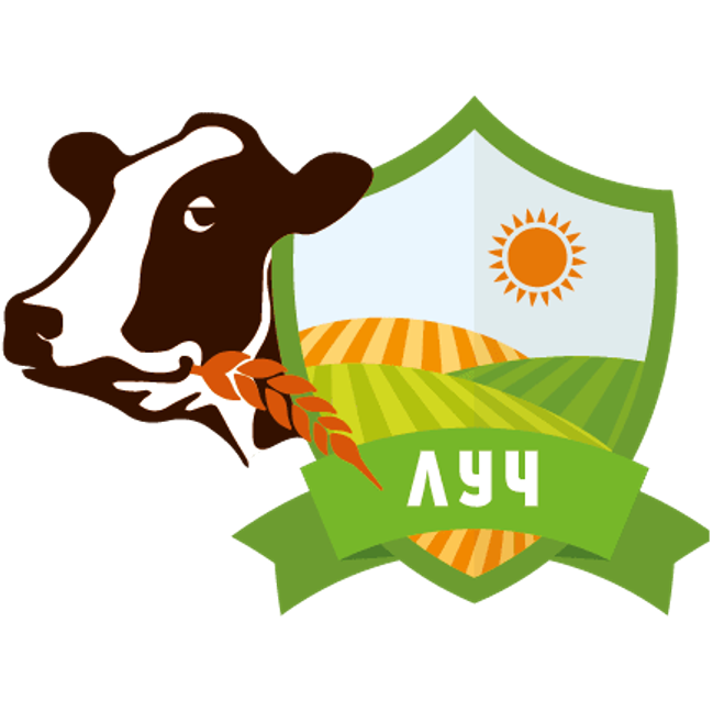 Генеральный директор, ООО «Луч»